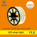 Best Seller! Waterproof SMD5050 DC12V LED Flexible Strip Light Series CE&RoHS Certificate